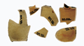 FileNo.135-529.jpg