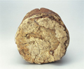 FileNo.135-597.jpg