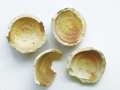 FileNo.135-603.jpg