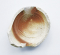 FileNo.135-607.jpg