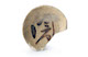 FileNo.135-615.jpg