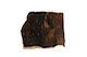 FileNo.135-627.jpg