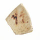 FileNo.135-650.jpg