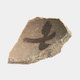FileNo.135-661.jpg