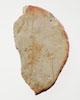 FileNo.135-672.jpg