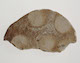 FileNo.135-673.jpg