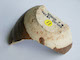 FileNo.135-694.jpg