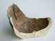 FileNo.135-695.jpg