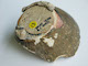 FileNo.135-698.jpg