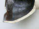 FileNo.135-703.jpg