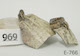 FileNo.135-713.jpg