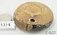 FileNo.135-718.jpg