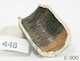 FileNo.135-730.jpg