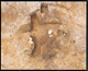 FileNo.136-024.jpg