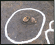 FileNo.136-027.jpg