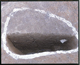 FileNo.136-031.jpg