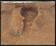 FileNo.136-038.jpg