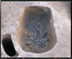 FileNo.136-045.jpg