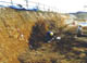FileNo.137-004.jpg