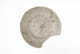 FileNo.137-008.jpg