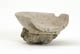 FileNo.137-034.jpg