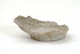 FileNo.137-055.jpg