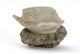 FileNo.137-075.jpg