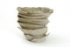 FileNo.137-082.jpg