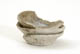 FileNo.137-084.jpg