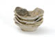 FileNo.137-086.jpg
