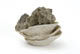 FileNo.137-087.jpg