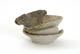 FileNo.137-088.jpg