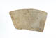 FileNo.137-105.jpg