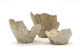 FileNo.137-106.jpg