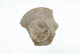 FileNo.137-117.jpg