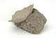 FileNo.137-120.jpg