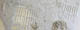 FileNo.137-124.jpg