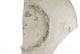 FileNo.137-127.jpg