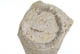 FileNo.137-128.jpg