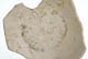 FileNo.137-129.jpg