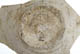 FileNo.137-130.jpg
