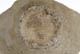 FileNo.137-131.jpg