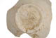 FileNo.137-132.jpg