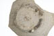 FileNo.137-133.jpg