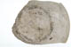 FileNo.137-134.jpg
