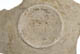FileNo.137-136.jpg