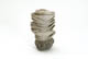 FileNo.137-171.jpg
