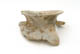FileNo.137-198.jpg