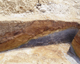 FileNo.139-122.jpg
