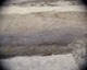 FileNo.139-125.jpg